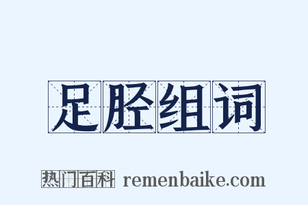 足胫组词是什么意思的图片